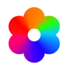 Logo banani 1